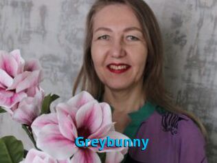 Greybunny