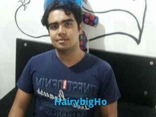 HairybigHo