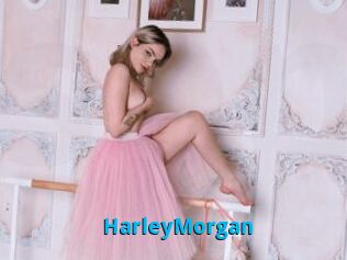 HarleyMorgan
