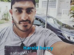 Harold_horny