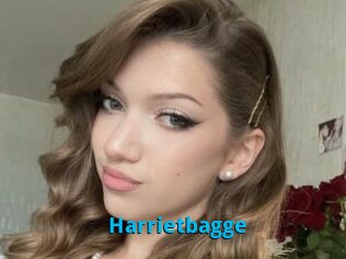Harrietbagge