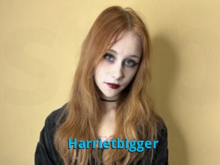 Harrietbigger