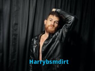 Harrybsmdirt