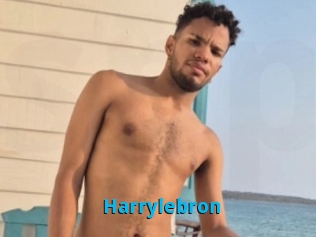 Harrylebron