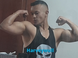 Harveywull