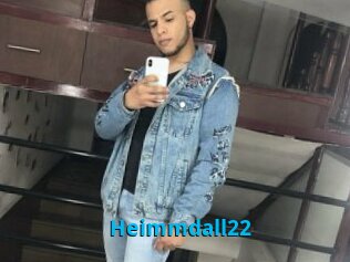 Heimmdall22