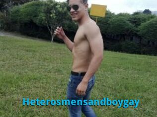 Heterosmensandboygay
