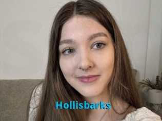 Hollisbarks