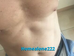Homealone222