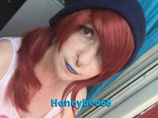 Honeybee66