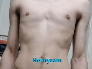 Hornysam