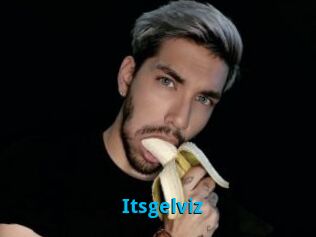 Itsgelviz