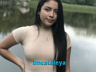 Imcataleya
