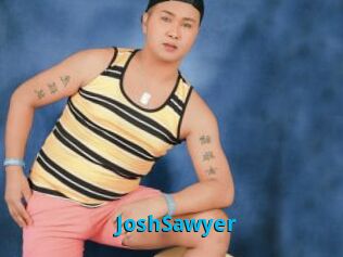 JoshSawyer