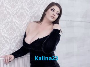 Kalina23