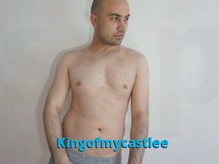 Kingofmycastlee