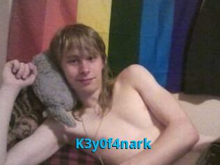 K3y0f4nark