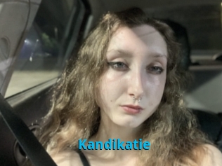 Kandikatie