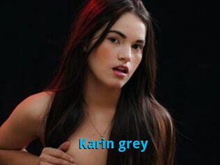 Karin_grey