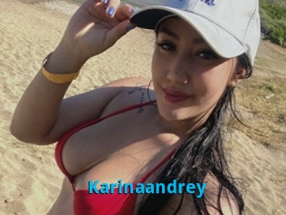 Karinaandrey