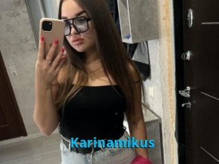 Karinamikus
