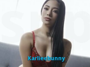 Karlieebunny