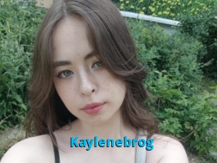 Kaylenebrog