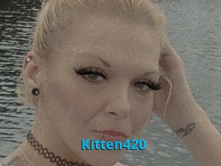 Kitten420