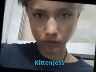 Kittenjess