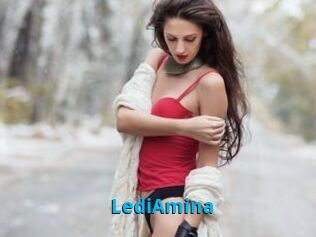 LediAmina