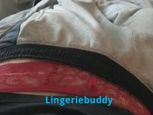 Lingeriebuddy