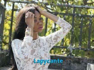 Lapycante