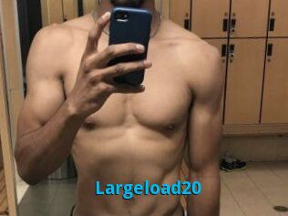Largeload20