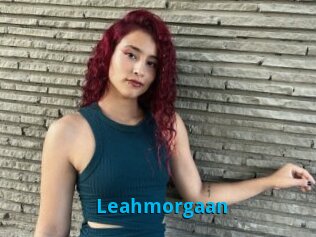 Leahmorgaan