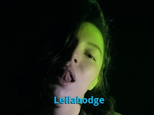 Leilabodge