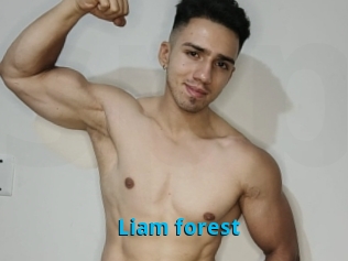 Liam_forest