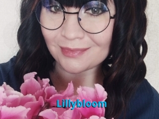 Lillybloom
