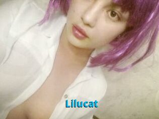 Lilucat