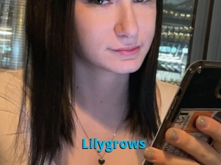 Lilygrows