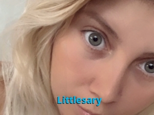 Littlesary