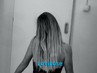 Lovirose