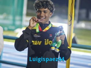 Luigispaez44