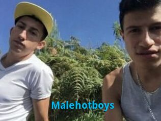 Malehotboys