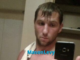 Mason_Levy