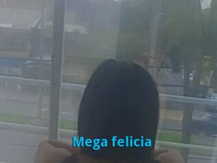 Mega_felicia