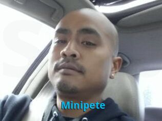 Minipete