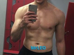 MrLEO