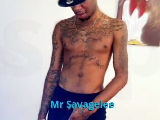 Mr_Savagelee