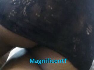 MagnificentT