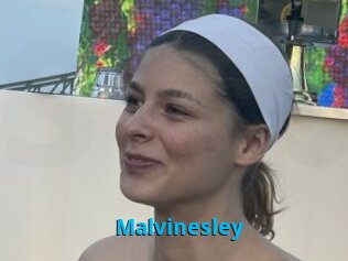 Malvinesley
